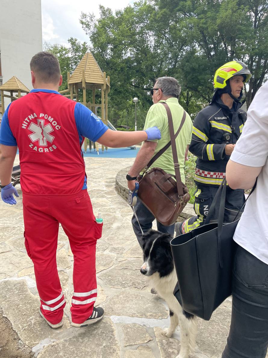 'Zvali su me da gori. Pas Tole je bio na 8. katu, išao sam gore. Briga me za zgradu, ne dam ga'