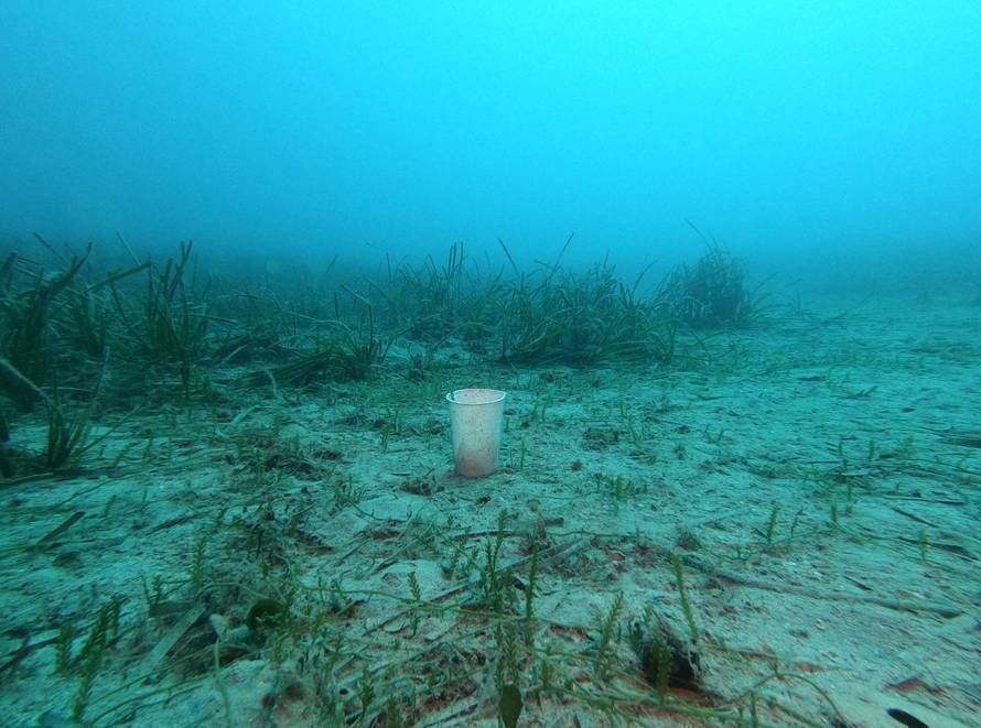 Prijavi se na foto-natječaj i pokaži nam kako Jadran izgleda kroz tvoje oči!