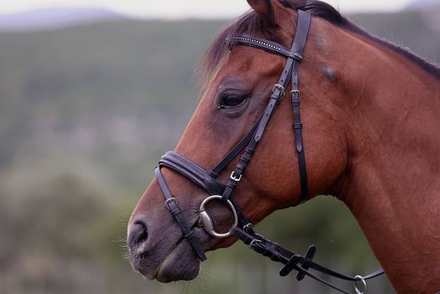 Trilj: Pripreme za 10. žensku Alku