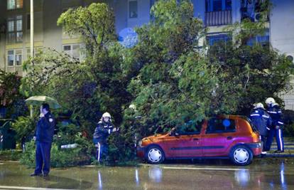 Obilne kiše oborile su veliko stablo na aute u Dubrovniku