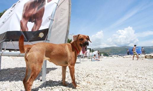 Mjesto pod suncem: Psi u Splitu dobili svoju plažu