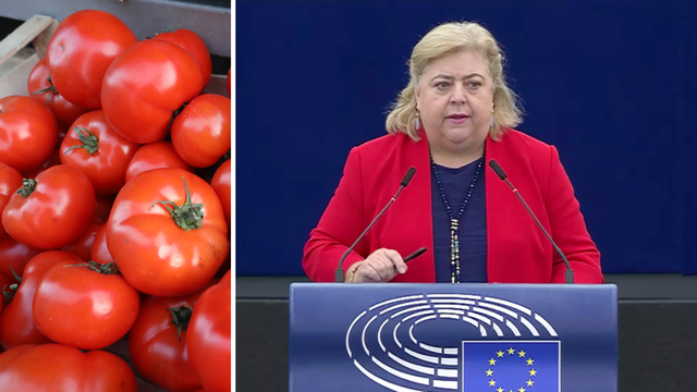 Zastupnici o prosvjedu: Pet eura košta kilogram rajčice, a seljak dobije 70 centi. To je problem!