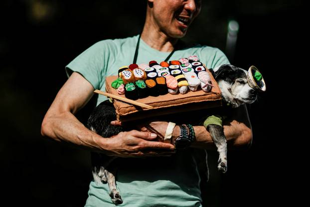 Tompkins Square Halloween Dog Parade in New York