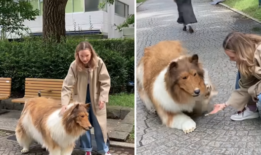 Japanac odjeven u kostim psa vrijedan preko 14 tisuća eura šeta ulicom: Želim biti životinja!