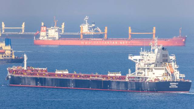 FILE PHOTO: Cargo ship Despina V, carrying Ukrainian grain, is seen in the Black Sea off Kilyos near Istanbul