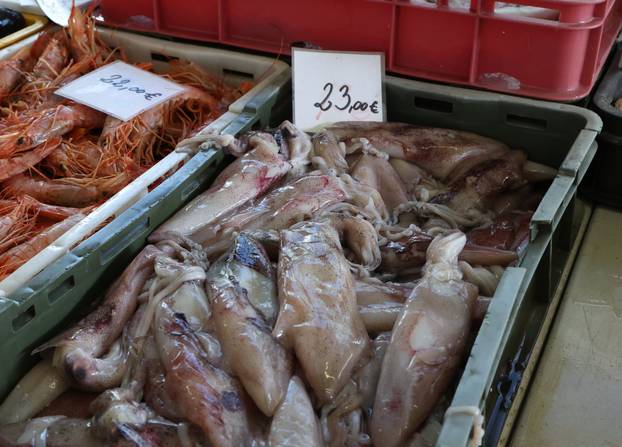 Šibenik:Bogata ponuda ribe na sibenskoj ribarnici.