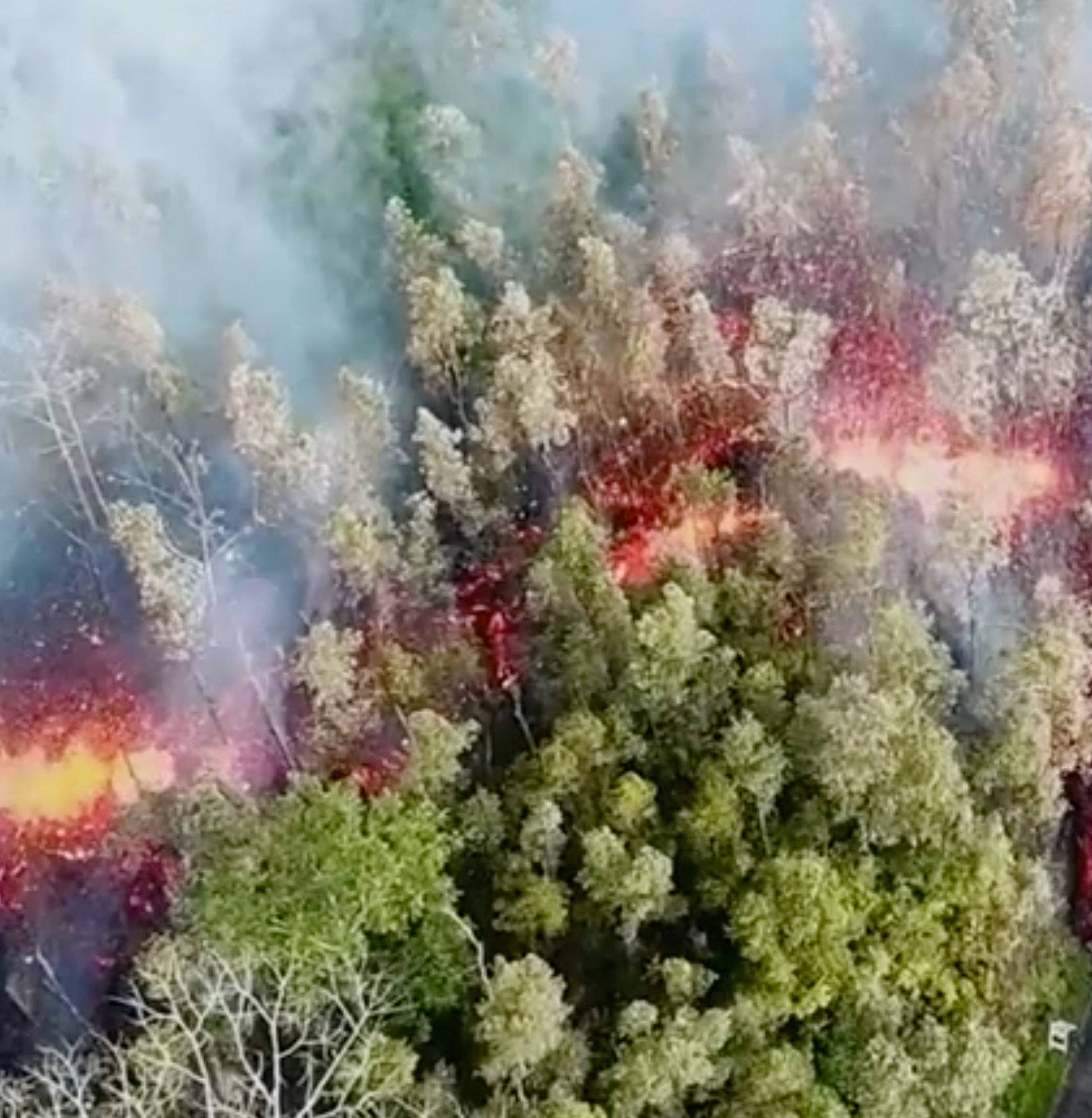 Lava emerges from the ground after Kilauea Volcano erupted, on Hawaii's Big Island