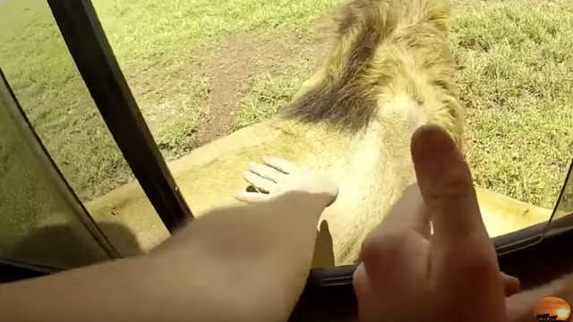 'Najgluplji turist ikad': Htio je dirati lava. Odmah se pokajao...