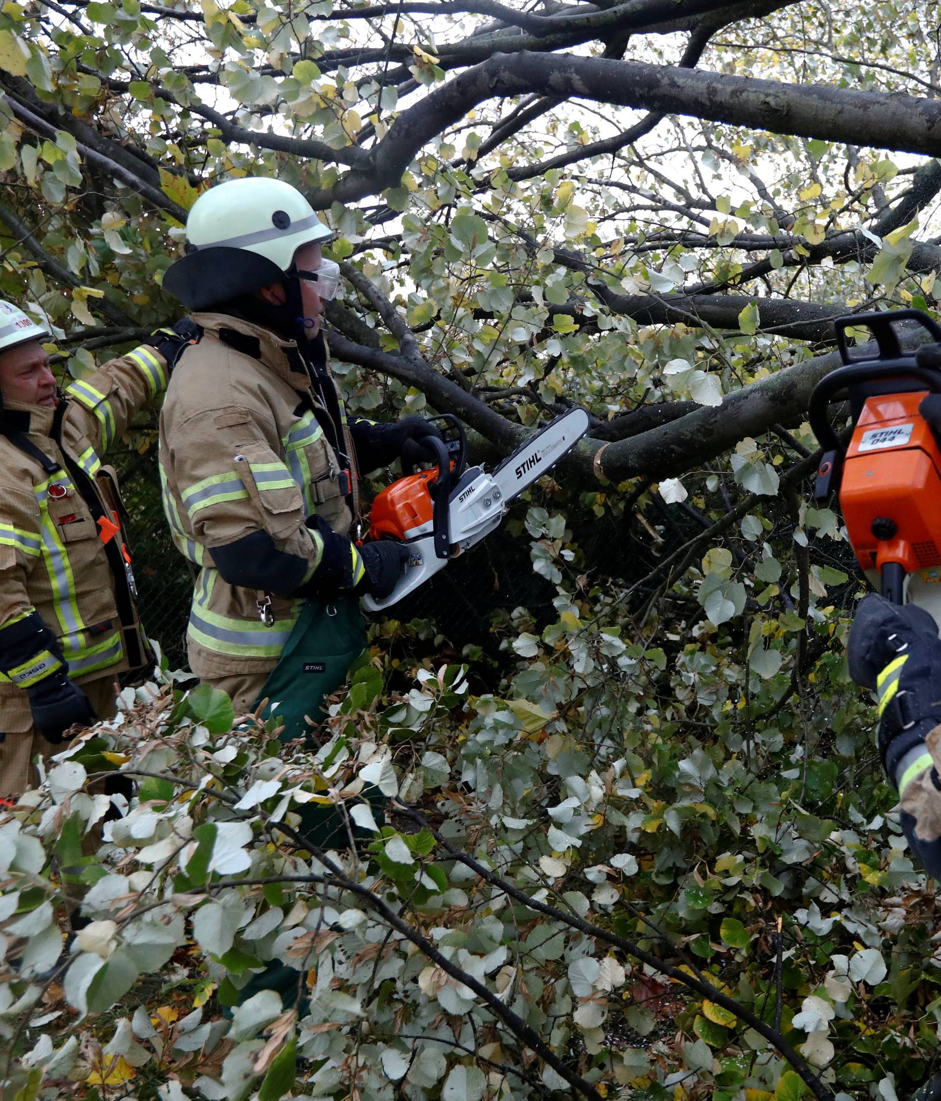 Firefighters work by a tree during stormy weather caused by a storm called "Herwart" in Berlin