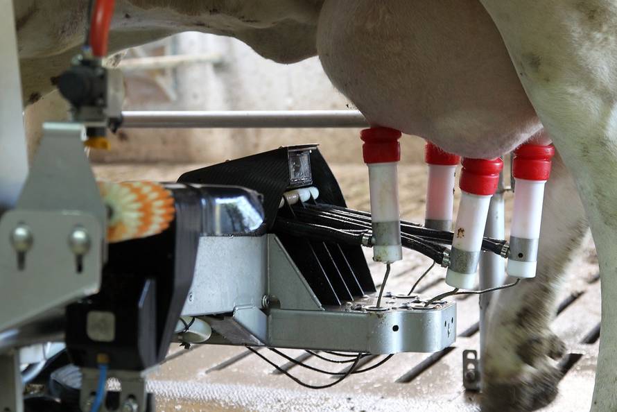 Željko Hladika/24sata