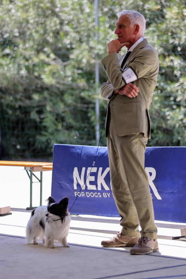 Zaton: Međunarodna izložba pasa pod nazivom CACIB Zadar 2025