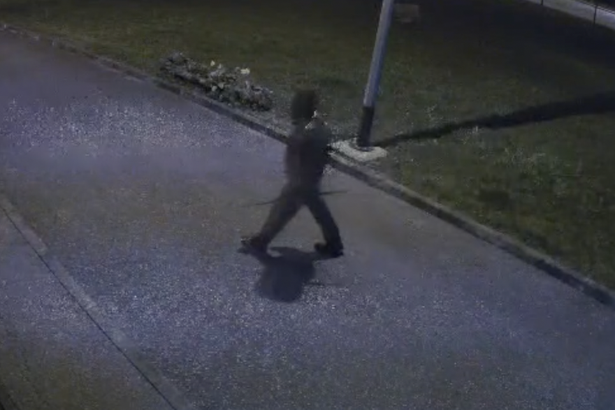 Maskirani tip i&scaron;arao Gospin kip