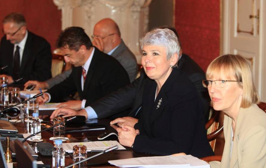 Željko Lukunić/PIXSELL