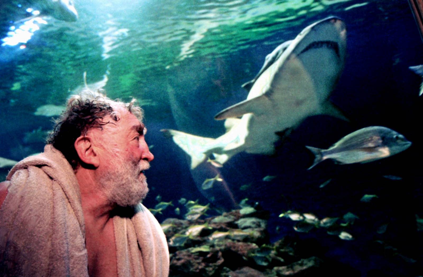 FILE PHOTO: British conservationist David Bellamy watches a grey nurse shark swim past after diving at Sydney's ..