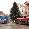 FOTO Krenulo je ukrašavanje bora na Trgu: Evo kako izgleda