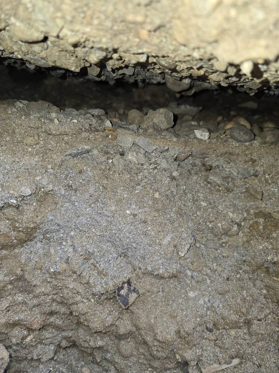 Štakori iskopali tunele ispod zgrade s 2000 ljudi: 'Fekalije su izbile u podrum, propao je auto'