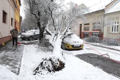 FOTO Osim snijega, u Osijeku palo i stablo na parkirani auto