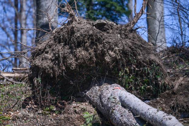 Zagreb: Posljedice olujnog nevremena na Sljemenu
