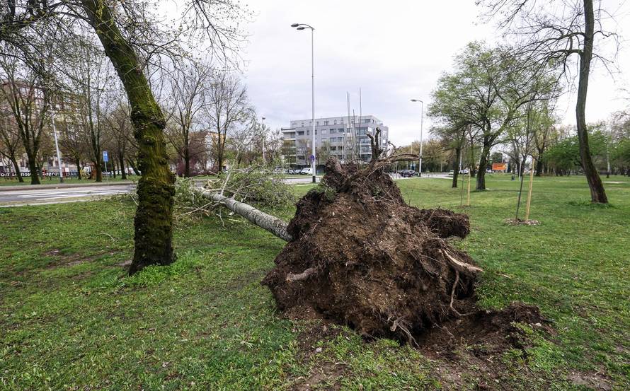 Zagreb: Olujno nevrijeme počupalo stabla na Bundeku 