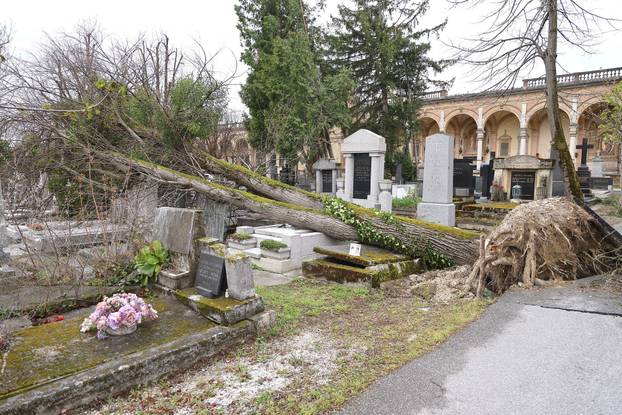 Zagreb: Posljedice velikog nevremena na Mirogoju