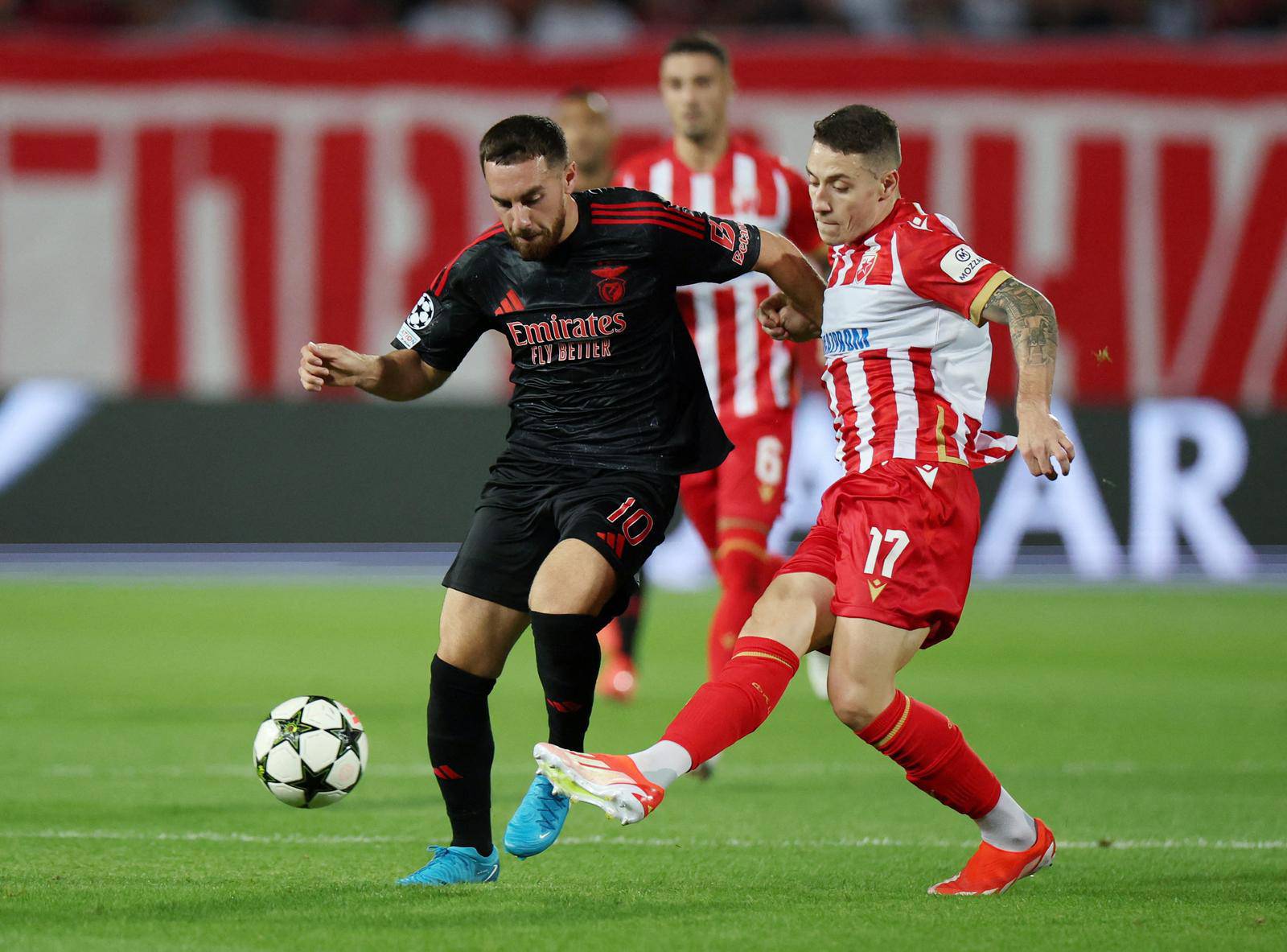 Champions League - Crvena Zvezda v Benfica