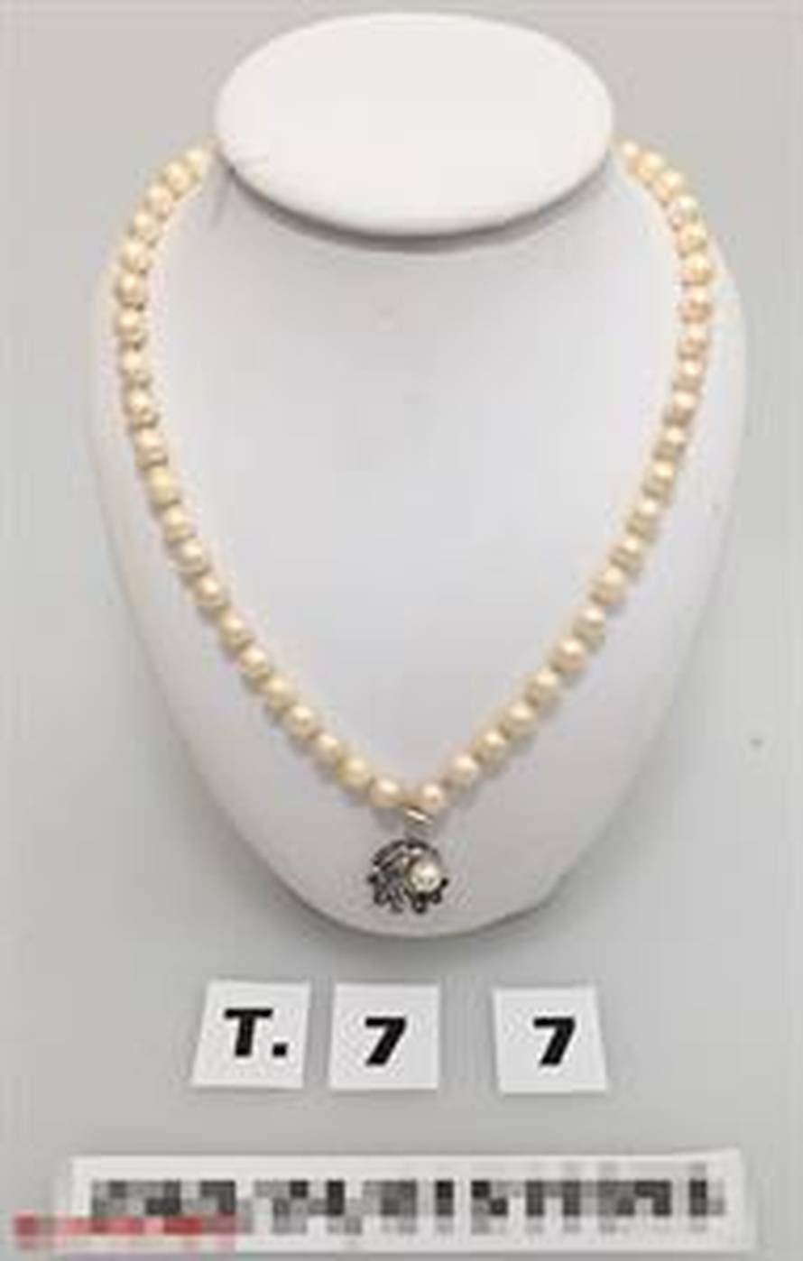 Austrijska šamanica varala ljude. Policija joj u sefu u kući našla preko 10 milijuna eura