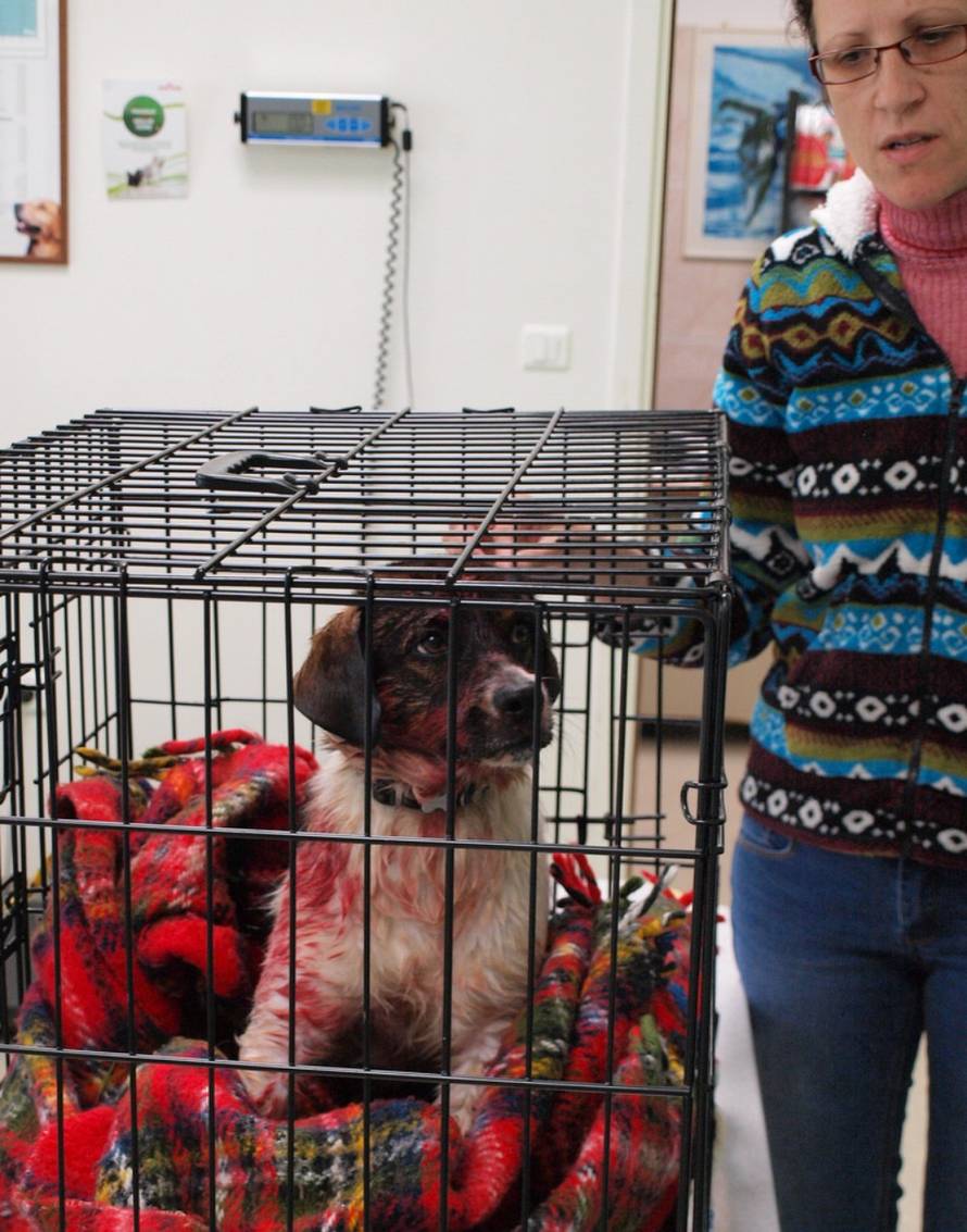 Sklonište Prijatelji Čakovec