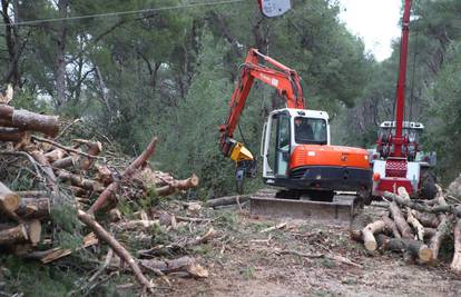 Tijekom sanacije Marjana je posječeno 38 tisuća stabala