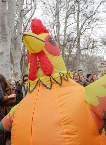 Zagreb: Prosvjed protiv kompleksa industrijskih megafarmi i klaonica peradi u Sisa&ccaron;ko-moslava&ccaron;koj &zcaron;upaniji