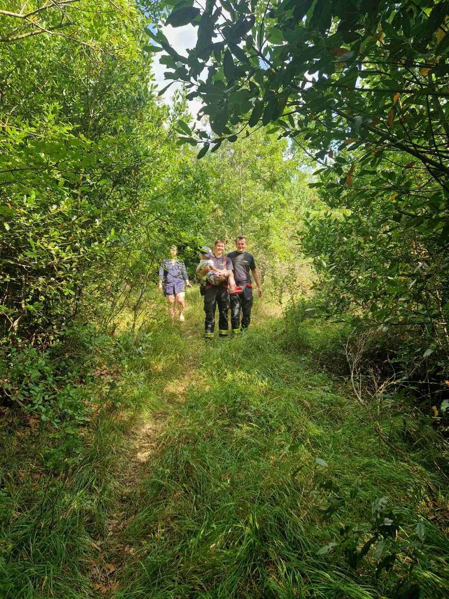 Djevojčica (6) se izgubila u šumi kod Labina: 'Bila je prestrašena toliko da nije mogla ni plakati'