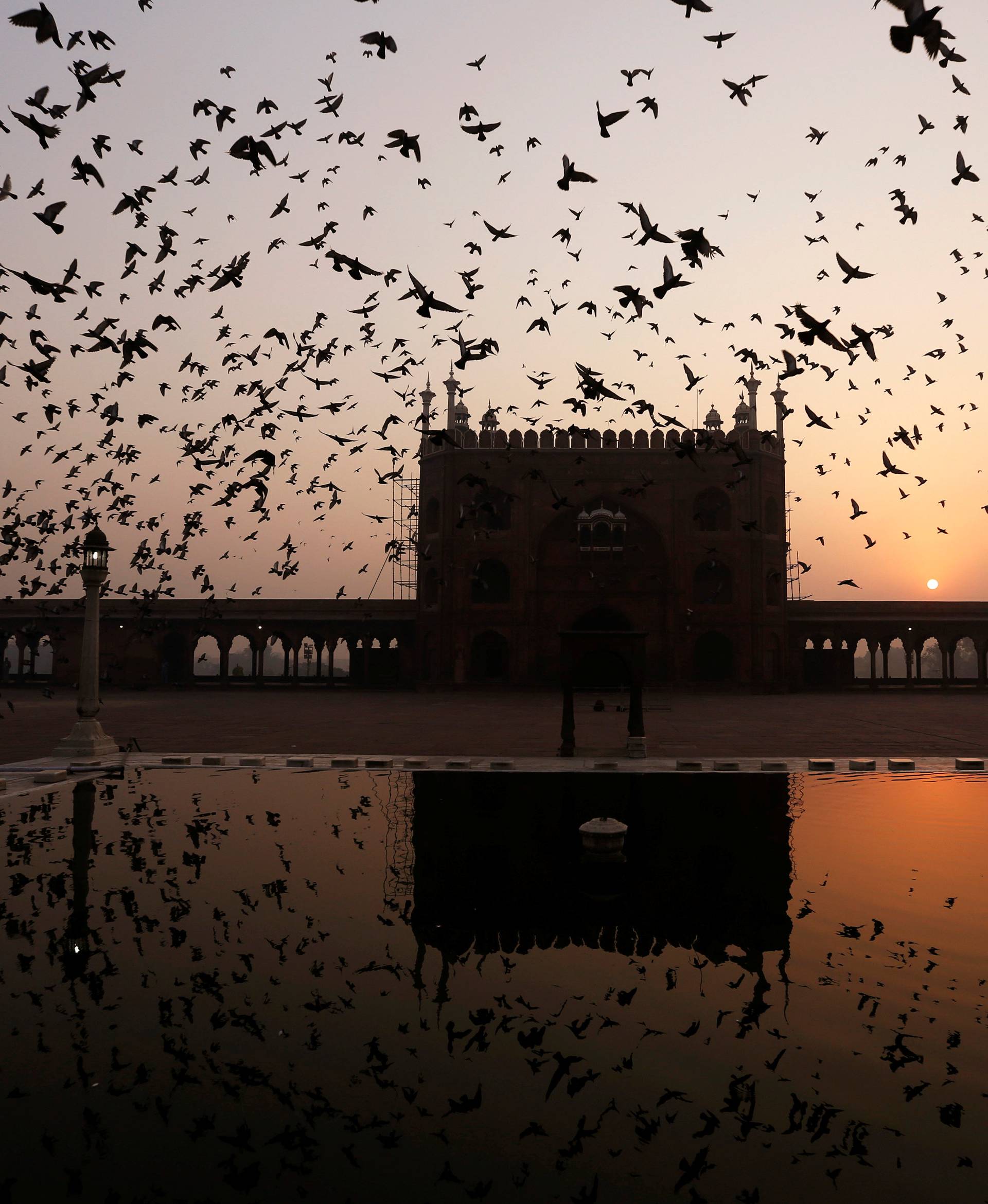 Pigeons fly inside the Jama Masjid in the old quarters of Delhi