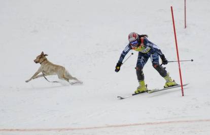 Fenninger zaoblazila vrata i razigranog psa na stazi