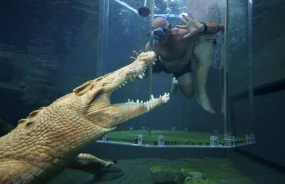 Hrabri plivaju u akvariju oči u oči s krokodilima