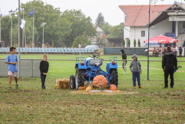 51. Olimpijada starih sportova u Brođancima