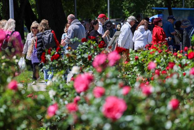 Zagreb: Sunce obasjalo Flora Art
