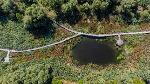 Zbog niskog vodostaja Dunava ovog ljeta, ve&cacute;i dio Kopa&ccaron;kog rita bio je bez vode