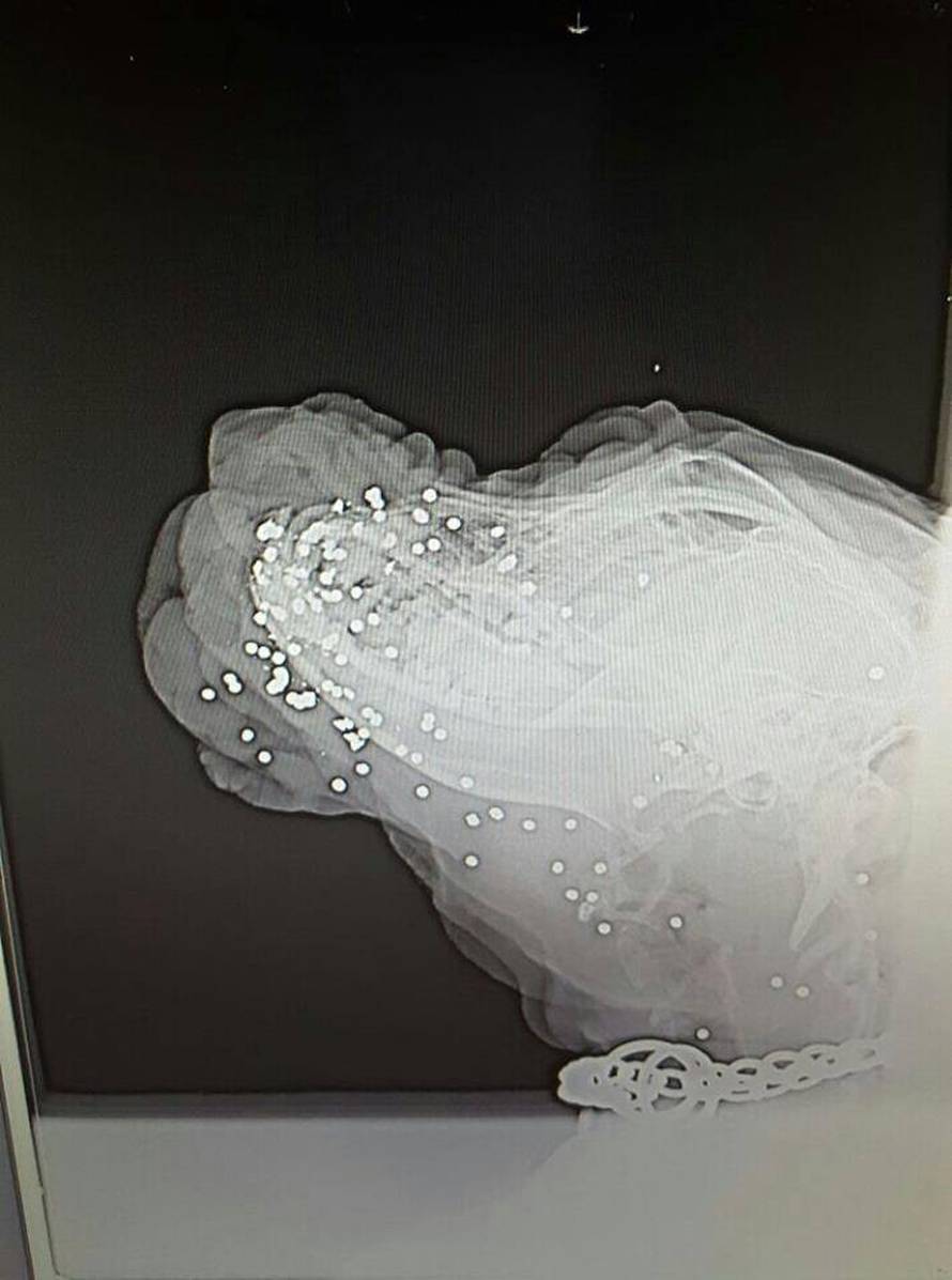 Raznijeli su joj njušku sačmom: 'Nemoguće da je bilo slučajno'