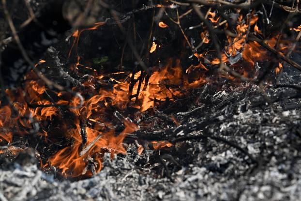 FOTO Kanaderi cijeli dan u akciji: Pogledajte kako gase požare diljem Dalmacije