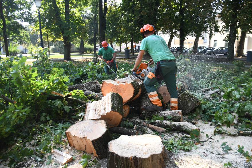 Bjelovar: Nevrijeme sinoć pogodilo grad, vjetar lomio grane i čupao stabla