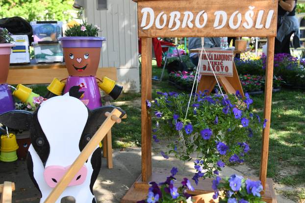 Obilježavanje Dana grada Križevaca uljepšano je cvjetnom manifestacijom "Križevci u cvijeću"