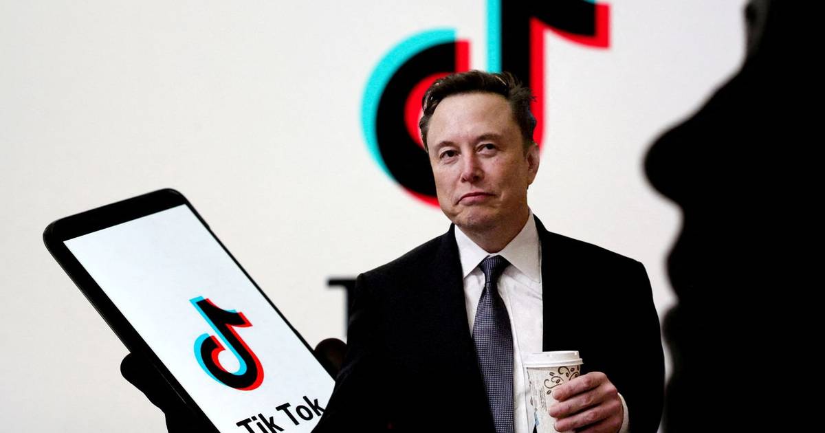 Musk does not want to take over Tiktok: As a rule I build companies from the ground up