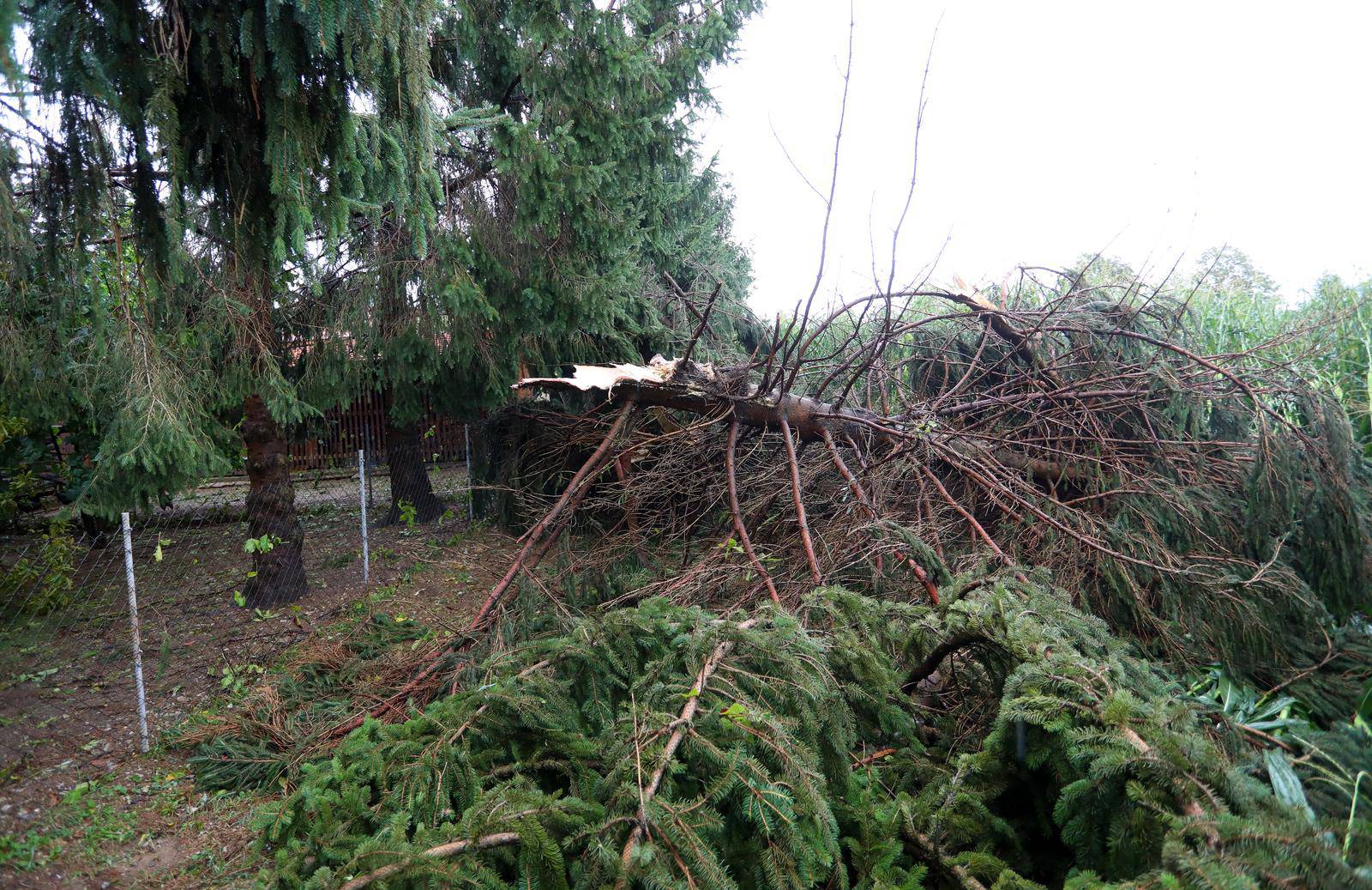 Snažno nevrijeme pra?eno kišom i olujnim vjetrom protutnjalo je Karlovcem i okolicom