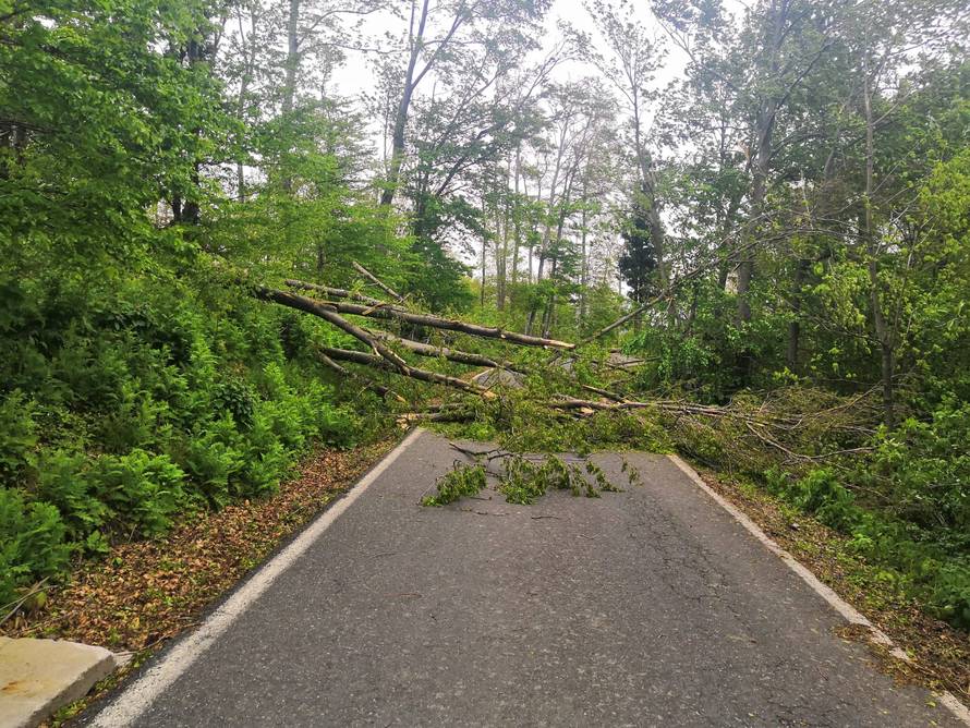 Prizor katastrofe: Oluja srušila stotine stabala na Medvednici
