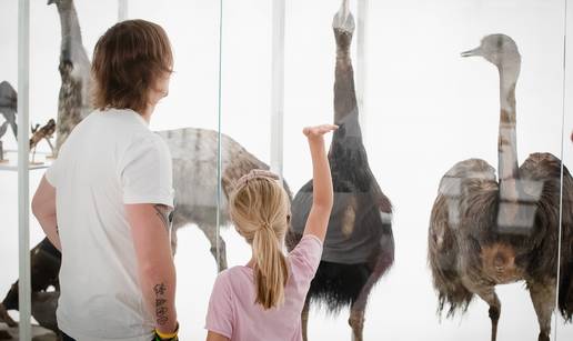 Prvi muzejski vikend okupio je 20.000 posjetitelja u Zagrebu