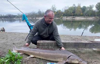 Ribič na Dravi upecao jesetru od 35 kilograma: 'Borili smo se 40 minuta, skakala je po rijeci'