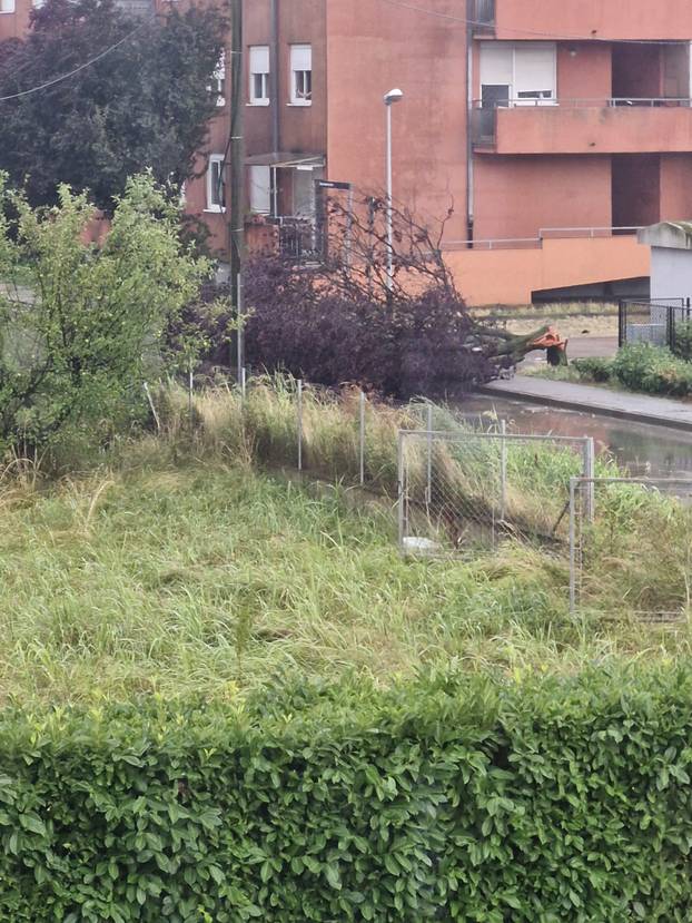 FOTO Pogledajte što je oluja napravila u Zagrebu! Stabla pala na aute, oštećena i škola!
