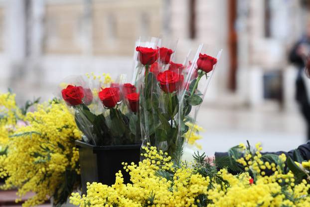 Rijeka: Obilježja Valentinova po centru grada