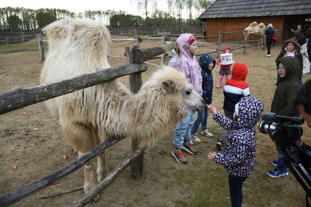 U Đurđevcu svoj prvi rodjendan proslavila deva Bella koja je začeta i rođena u Hrvatskoj