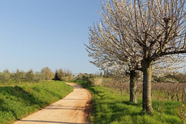 FOTO Evo koje hrvatsko selo je na listi najboljih sela svijeta za turiste - jeste li čuli za njega?