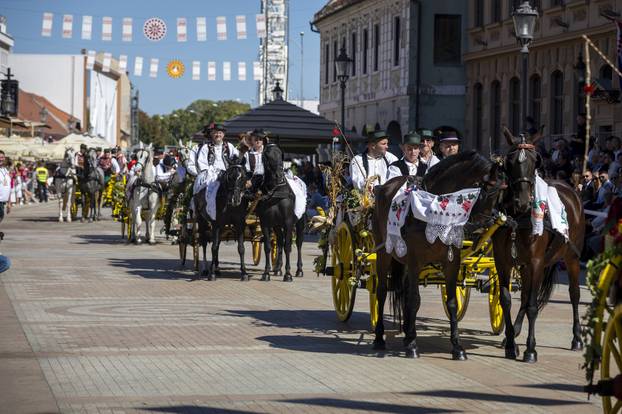 Vinkovci: Svečani mimohod sudionika 60. Vinkovačkih jeseni